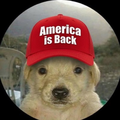 NZGUY (4 Arc)'s profile picture