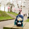 シュウ's profile picture