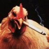 Фото профиля Ducko