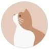 masa's profile picture