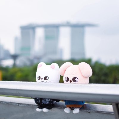 🧡🖤 SP~22°C 🐰🌡's profile picture