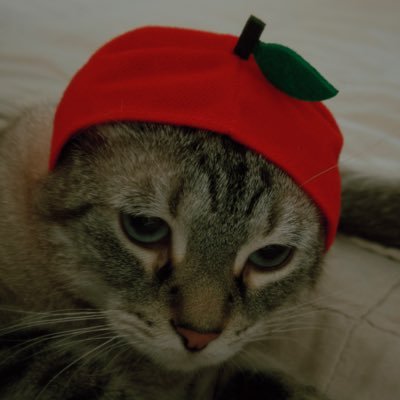 MWR's profile picture