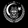 Taceddin Yıldız's profile picture
