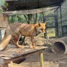 Midorika profil fotoğrafı