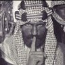 🇸🇦 profil fotoğrafı