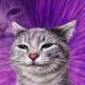 Dalton's profile picture
