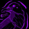 🌸Lumi🐦‍⬛'s profile picture
