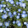 木曜日の雨 profil fotoğrafı