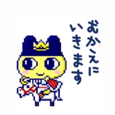 lvy_ts's profile picture
