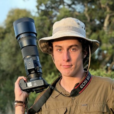 Antonio Ripoll's profile picture