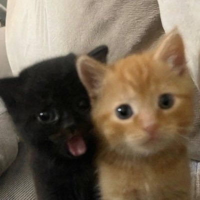 Jezzykaaxu's profile picture