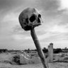 Cornelius Sulla's profile picture