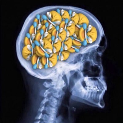 slingoorio's profile picture