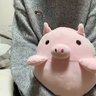 さめにゃん🍥's profile picture