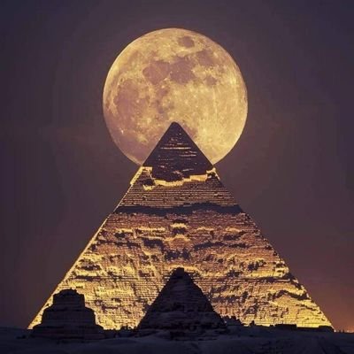 Ant77el's profile picture