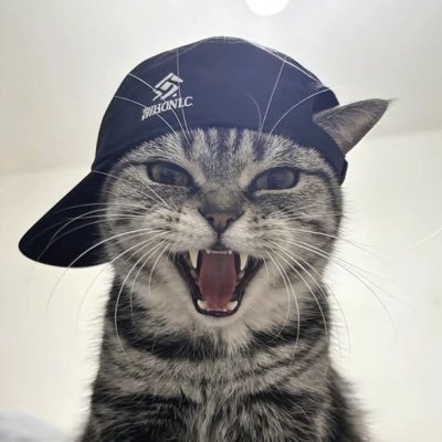 ChicOp__'s profile picture