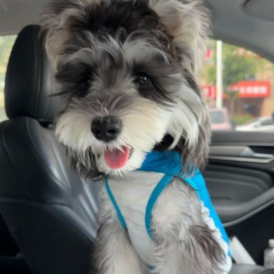 markymarcness's profile picture