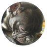 Profilbild von ウッチつれづれ