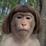 Profilbild von asbun