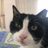 Profilbild von Ali