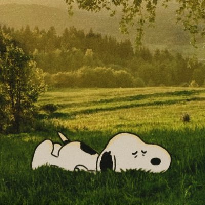 nadine ◡̈'s profile picture