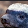 Profilbild von mwangangi mwendwa