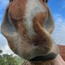 mako's profile picture