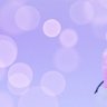 MiHO️ 🌙*'s profile picture