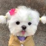 Profilbild von ✿ thunder ¹²