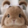 ｼｭﾘﾝﾌﾟ profil fotoğrafı