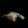 georgia's profile picture