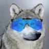 Profilbild von Crash15