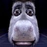 Prescott Burrows's profile picture