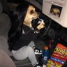 steven anita smith 🎀's profile picture