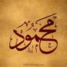 محمود الاحمد 的头像