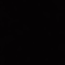 maddie's profile picture