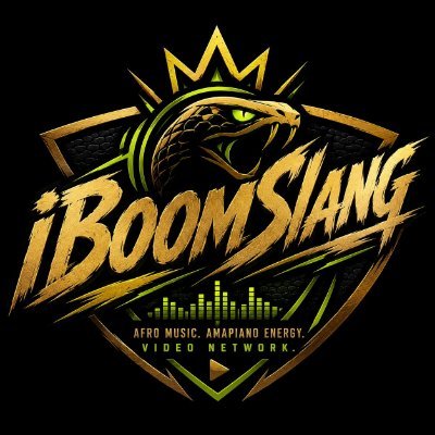 iBoomSlangTV's profile picture