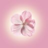 ًً profil fotoğrafı