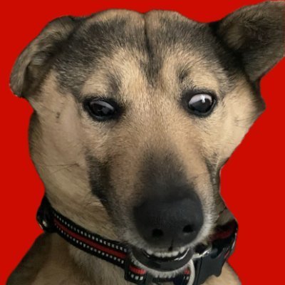 zack__game's profile picture