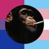 Transgender Paul Bäumer 🍉 的头像