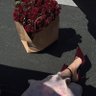 HA ❤︎ profil fotoğrafı