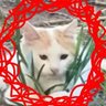 ヨクリダ profil fotoğrafı