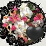 nao🌹🌹xxX🖤 的头像