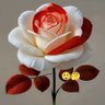 فببف profil fotoğrafı