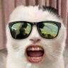 すら profil fotoğrafı