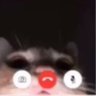 pecunia2800's profile picture