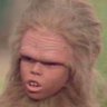 Stellar Jay's profile picture