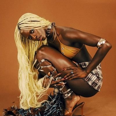 Diarra Sylla Brasil's profile picture