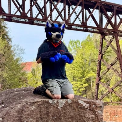 Skyway's profile picture