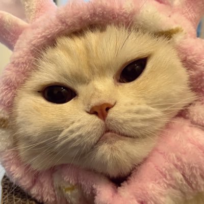 _ggyakii13's profile picture